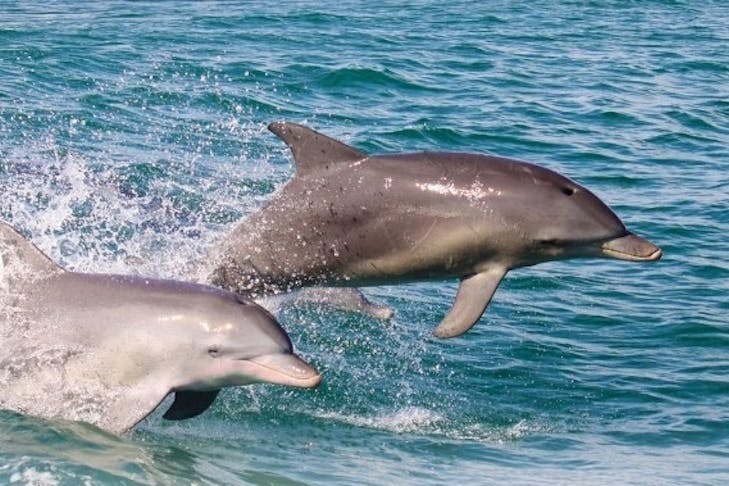 Things To Do In Mandurah